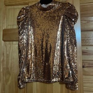 Gold Sequin Ruffled Long Sleeve Blouse